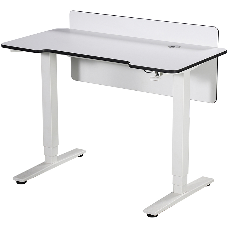 Gas Spring/Electric Standing Desk